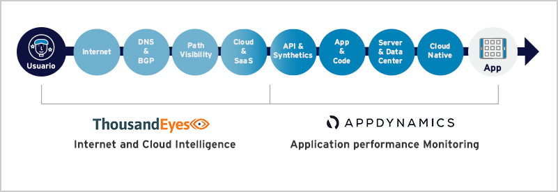 application-performance-monitoring-tools-grafica